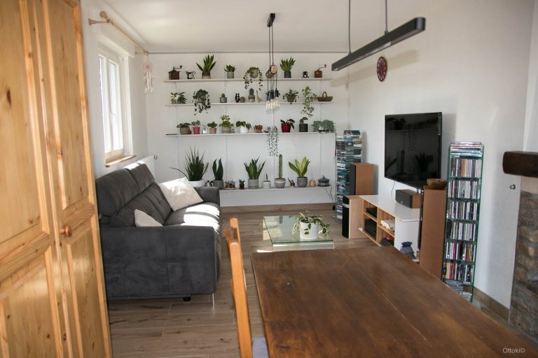 Rénovation intérieure : Salon/salle à manger